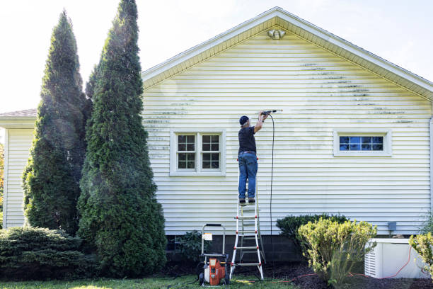 Best Affordable Pressure Washing  in West Van Lear, KY